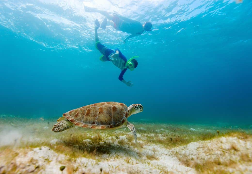 Diving & Snorkeling in Kos 2025: Underwater Adventures & Best Dive Sites Guide